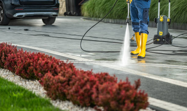 Best Roof Pressure Washing  in West Swanzey, NH